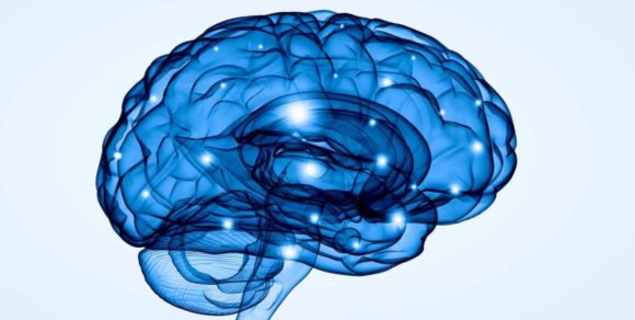 Neuroplasticidad y salud mental | Instituto Neurocognitivo Incia