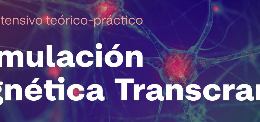 2º Curso de Estimulación Magnética Transcraneal en el Hospital La Salud de Valencia